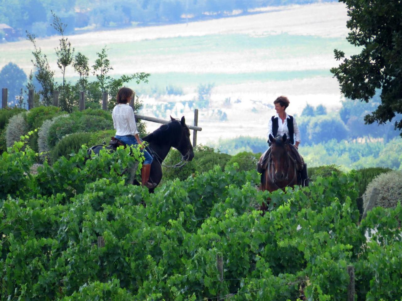 Castello Banfi - Il Borgo - Relais Et Chateaux Poggio alle Mura